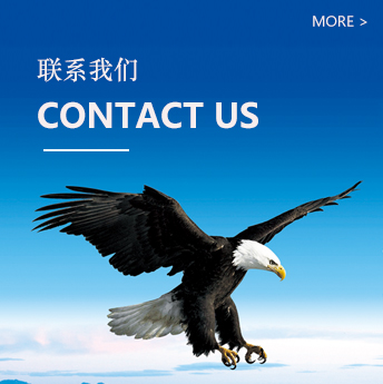 청주콜걸